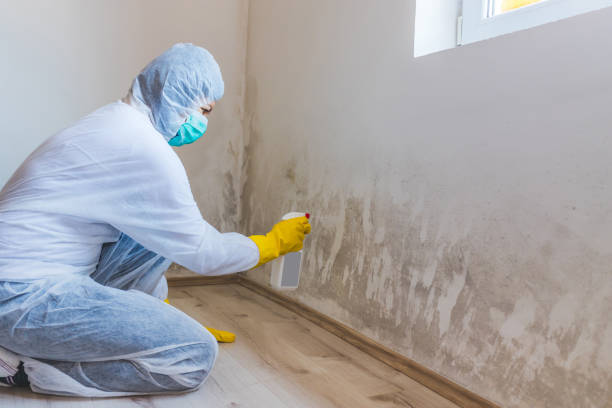 Licensed Mold Inspection service in Severn, MD - WQB Mold Removal