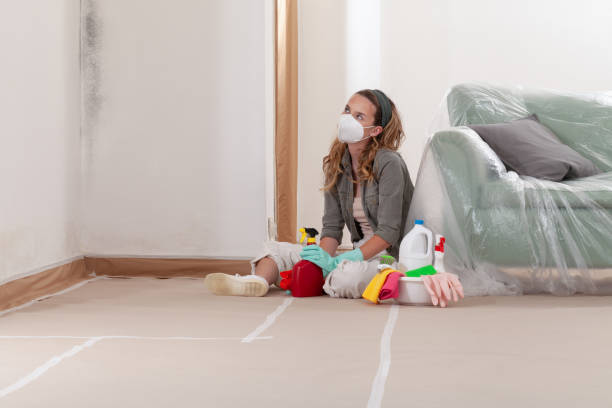 Reliable Mold Inspection contractor in Severn, MD by WQB Mold Removal